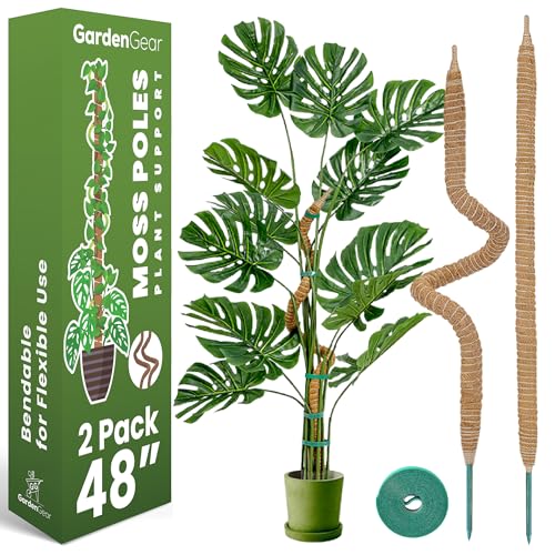 Comparison: Best Pots For Monstera 11 2 Pack 48 Inch Bendable Moss Pole Monstera Plant Support Stakes for Indoor Plants - Tall Moss Stick Trellis for Potted Climbers - Stem Support Accessories for Climbing Houseplants