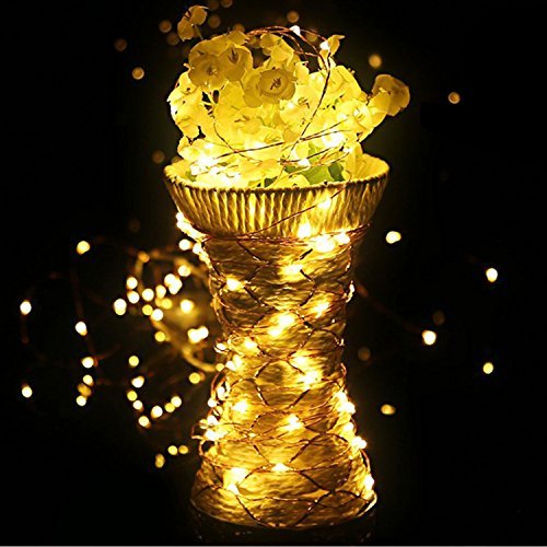 Hahome® luci Fairy catena 16,4 50 ft della