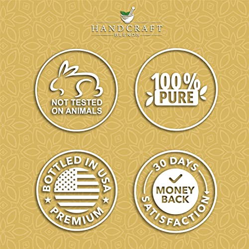 Handcraft Pine Scotch Essential Oil - 100% Pure And Natural - Premium Therapeutic Grade Essential Oil For Diffuser And Aromatherapy - 0.33 Fl Oz #TOP6