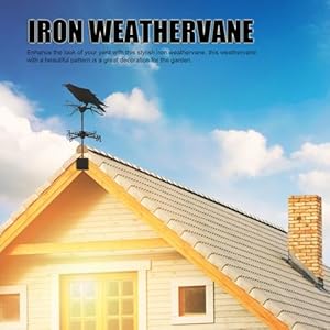 FOSA Stylish Iron Weathervane with Crow Ornament, and Weather Resistant, Decorative Wind Vane for Outdoor Garden Farmhouse Decoration FOSA Stylish Iron Weathervane with Crow Ornament and Weather Resistant Decorative Wind Vane for Outdoor Garden Farmhouse Decoration