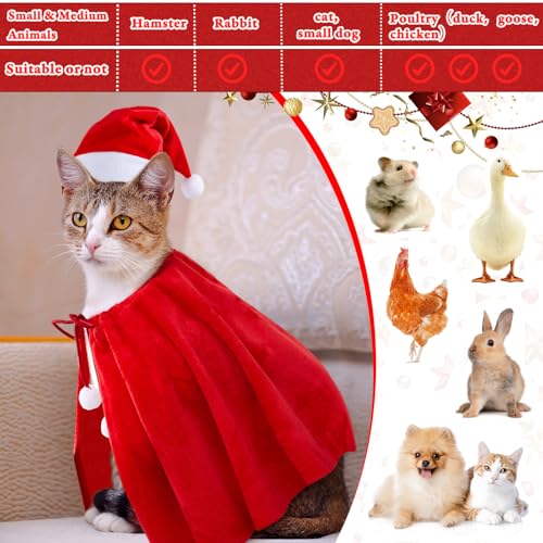 Weewooday 12 Piezas Disfraz Navidad para Mascotas miniatura 3