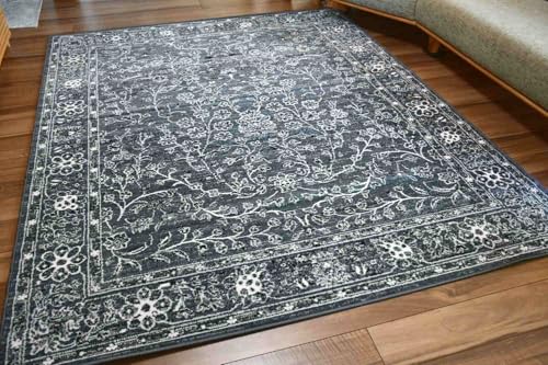 xM[ O~ 6 240×330cm J[ybg イ O HORUSCOLOR Ѝ݌ EFlO {^jJ (2604^240×330) O[