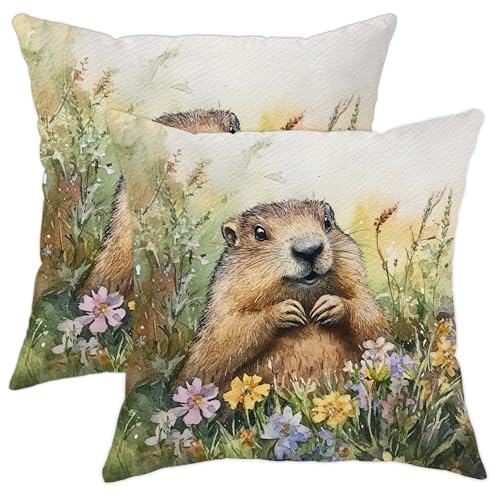 Lot de 2 housses de coussin décoratives printanières avec motif marmotte mignon, motif floral et animal pour maison, canapé, lit, décoration extérieure...