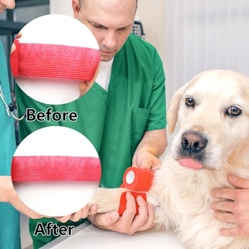 12 Rollen Selbstklebender Verband, 5cm x 5m Selbsthaftende Bandage für Erste Hilfe, Elastische Fixierbinde Cohesive Bandage Haftbandage für Hund/Katze/Füße/Fingerpflaster/Knöchelverstauchungen