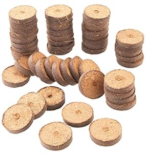 Meister Kokos-Quelltabletten FLOR79145 50 Stück