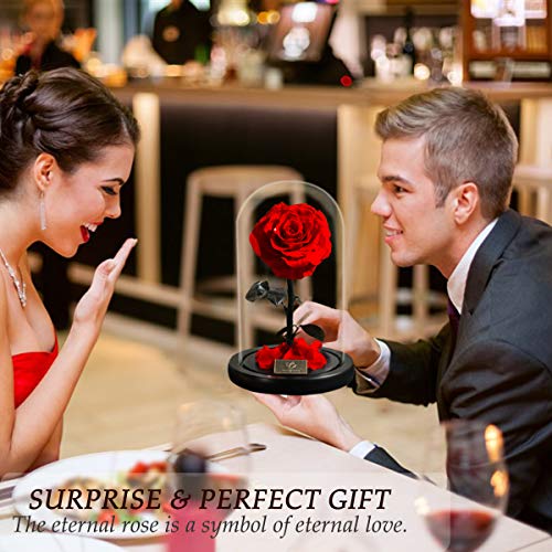 A Surprised Red Fresh-Keeping Rose, Blooming Beautiful and Elegant in the Glass Cover, Valentine\'s gift, Birthday Present, Mother\'s Day gift, Perfect Eternal Flower For The Person You Like - Thumbnail 3