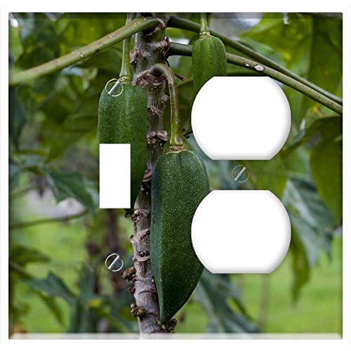 2-Gang, Toggle Outlet Combination Wall Plate Cover - Babaco Food Leaf Fruit Nature Plant