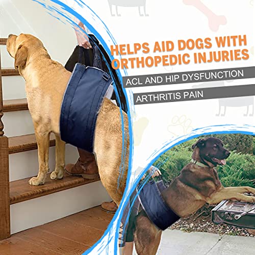 Image of Proastar Dog Lift Support and Rehab Harness for Weak Rear Legs, Grey, Practical Style, Dog Harness, Light to Moderate Pull Capability