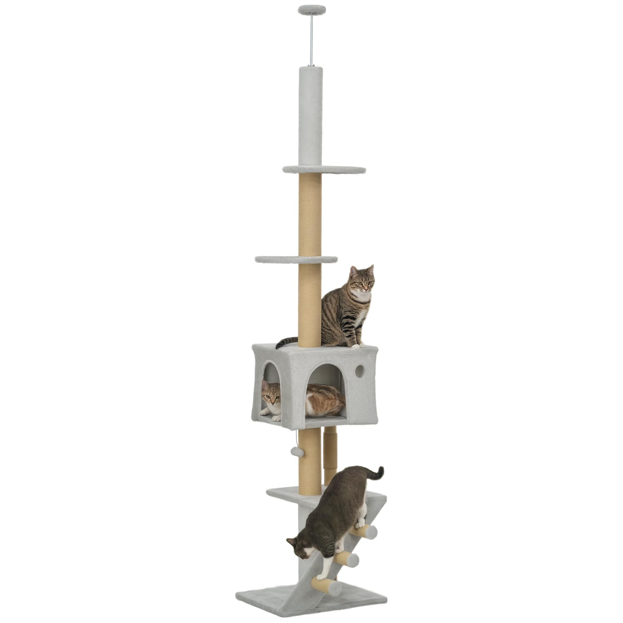 PawHut Árbol para Gatos de Suelo a Techo con Escalera 225-255 cm Gris Claro | Árbol Rascador para Gatos, Altura Ajustable, Múltiples Plataformas, Bola Colgante