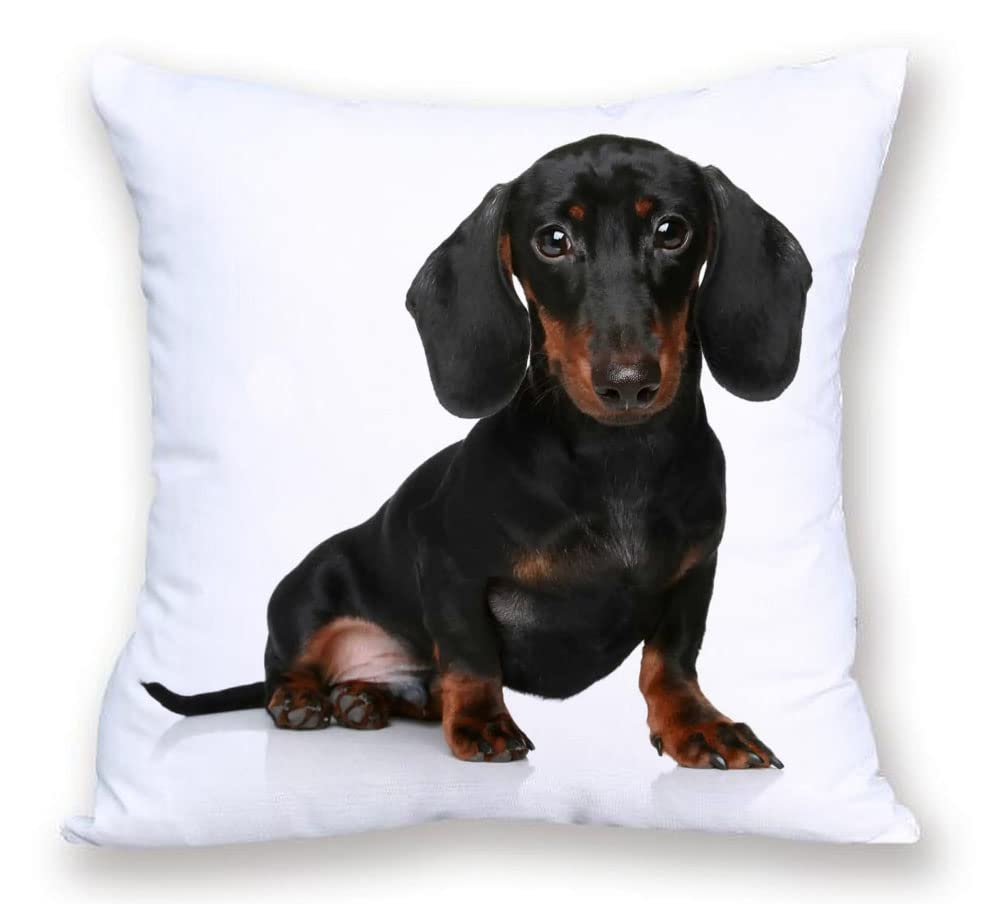 The Beach Stop Sitting Dachshund Puppy Decorative Dachshund Dog Scatter Cushion Cover | Home Decor Inspo | Gift Idea For Sausage Dog Lovers | 45X45cm 18X18” |