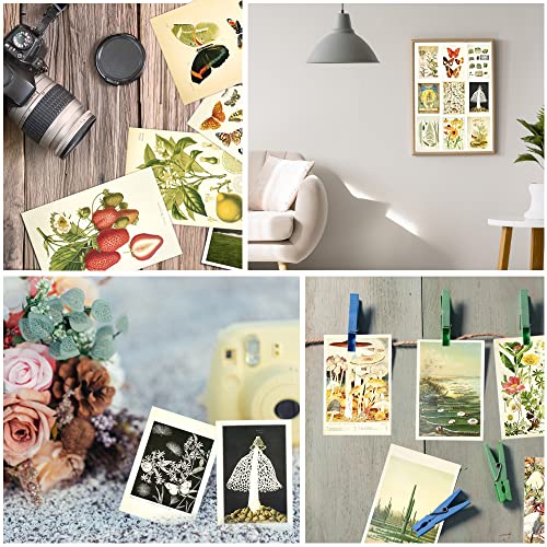 SIYINGSAERY 50 Stück Poster Collage Kit Vintage Karten Wand Collage Kit Aesthetic 4' x 6' Collage Druck Set Kit mit Doppelklebeband Indie Raumdekoration Wandcollage Kit für Schlafzimmern Büros