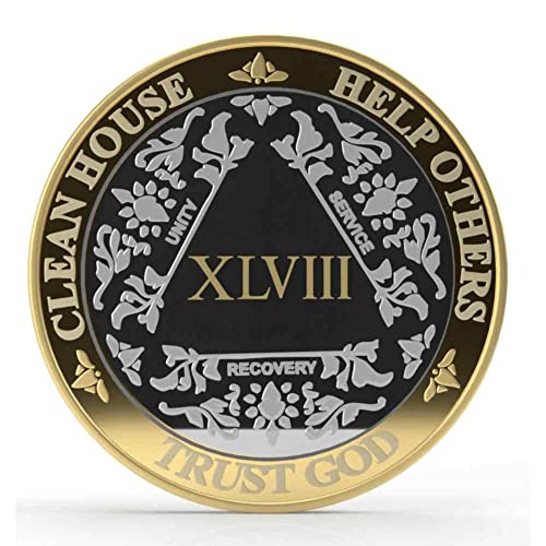 Silver & Gold 1-60 Years (48 Year (XLVIII)) Alcoholics Anonymous Medallion AA Coin Capsule Included
