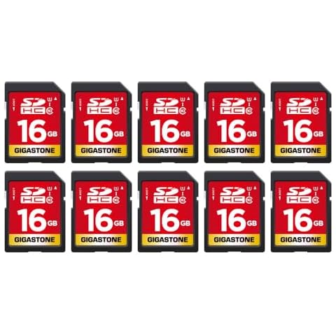 Gigastone 16GB 10-Pack SD Cards with Cases Cover