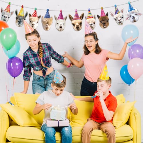 Image of Llama Happy Birthday Banner Llama Birthday Garland Funny Llama Birthday Decorations for Boys Girls