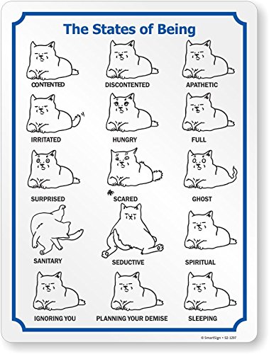 Étiquette d'humeur pour chat affiche vinyle laminé The States of Being