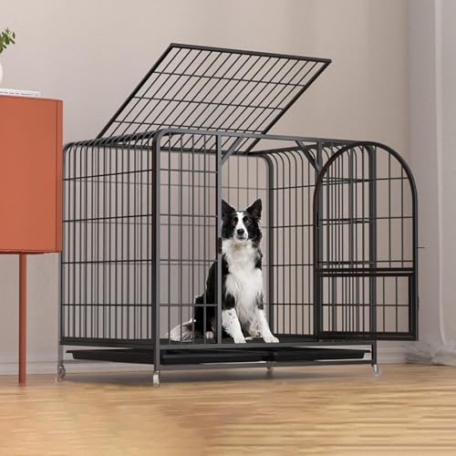 EnergyDeer^ybgefBČR[Lr[F@gCt^eʎ͈ړ\łԗ֕t (110*72*95cm,)