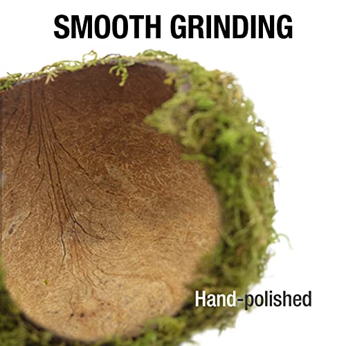 image for SanmooAio Hamster Hideaway/Hideout,Mossy Cave Hide,Hamster House/Hides