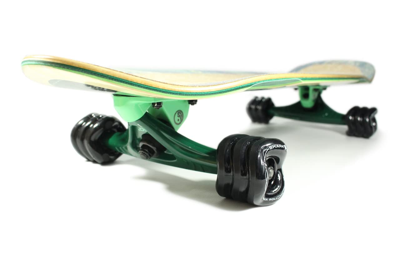 Amazon | Shark Wheel バンブースワール 78cm クルーザースケート