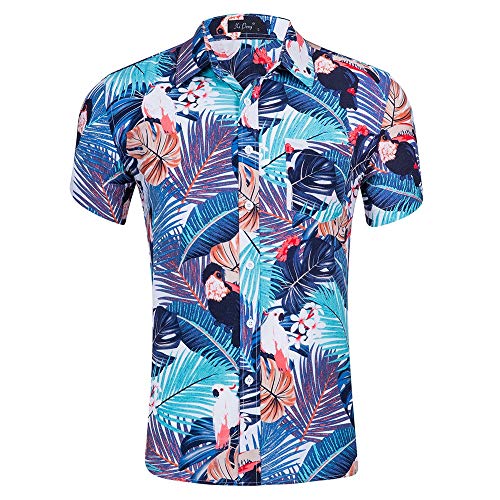 Men's Casual Dress Shirt Mens Print Button Down Short Sleeve Hawaiian Shirt Summer Vacation Beach Shirt Regular Fit Ca