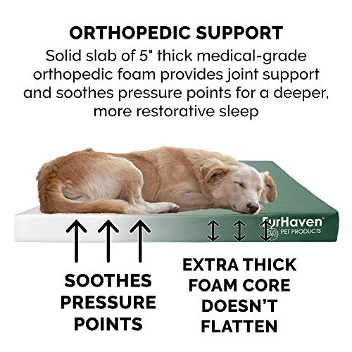 Image of Furhaven Water-Resistant Orthopedic Dog Bed for Large Dogs w / Removable Washable Cover, For Dogs Up to 125 lbs - Indoor /Outdoor Logo Print Oxford Polycanvas Mattress - Forest, Jumbo Plus /XXL