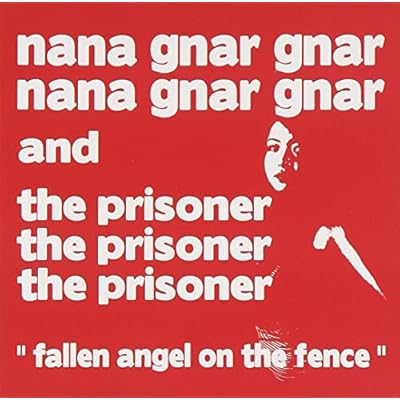Fallen Angel on the Fence
