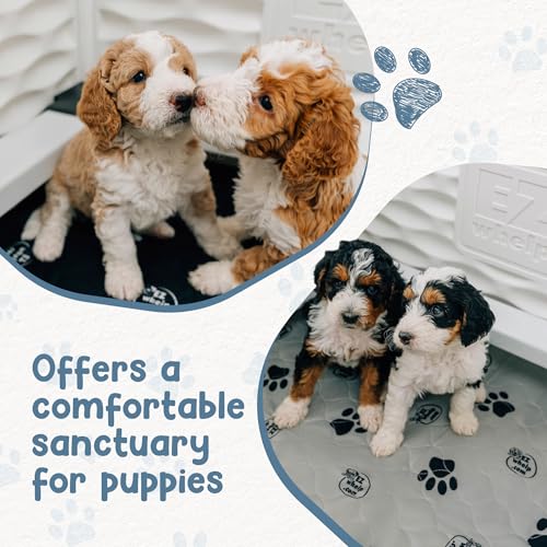 Image of EZwhelp EZclassic Dog Whelping Box - Washable Pee Pad, Small 28 inchx28 inchx18 inch