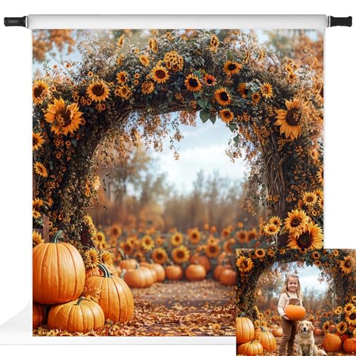 Toile de fond arche tournesols d'automne contre les plis