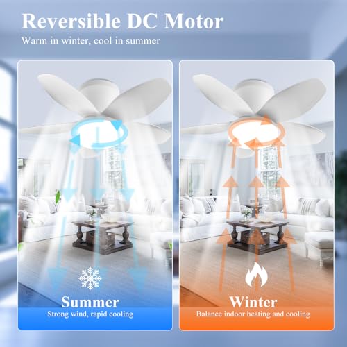 MENQANG 5-Blade Ceiling Fan with Light and Remote Control, Dimmable LED Lights & Quiet Reversible Motor, Modern Flush Mount Ceiling Fan for Bedroom, Living Room, Dining Room, Energy Efficient - image 4