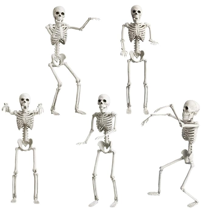 Buy Halloween Skeleton Decorations Full Body 5 Pack 16" Life Size