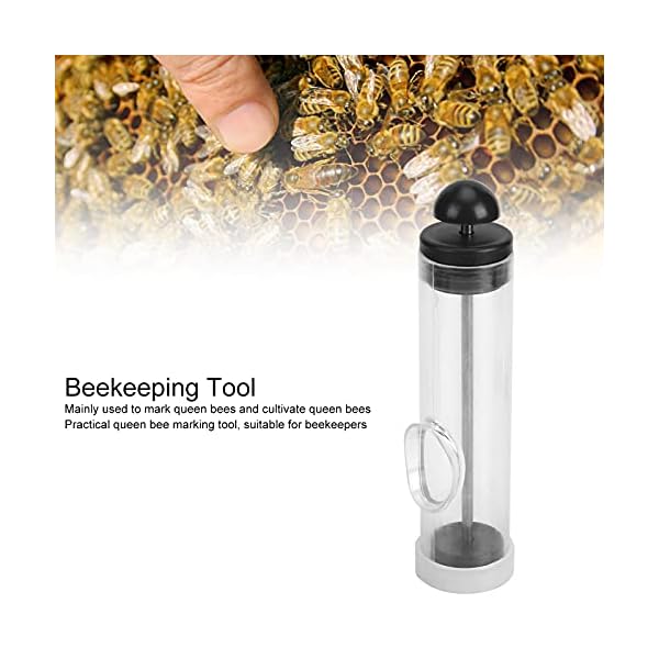 Shanrya Bienenkönigin-Markierungsrohr, Bienenkönigin-Markierungskäfig Unverzichtbar Einfache Bedienung Praktisches… – Bild 4