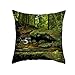 AMDXD Housse de Coussin 50x50, Housses de Coussin Marron Pierres de Ruisseau d'arbre Modèle Séjour Taie Oreiller (Polyester, 4Pcs)