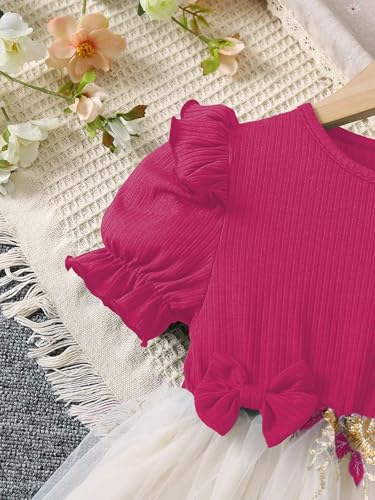 Image of TAGAS Girls' Princess Dress | Girl Dress |Dresses birthdaydress for Babygirls |
