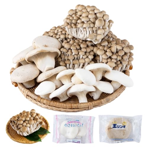 食欲の秋!きのこの詰め合わせ 選べるパック数(各3〜5パック)AT16/AT17 (各3パック)