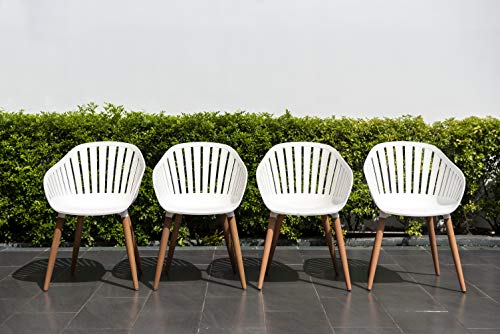 Brampton Chiavari Outdoor Chairs Set of 4 | Eucalyptus Wood Legs | Perfect for Patio, White