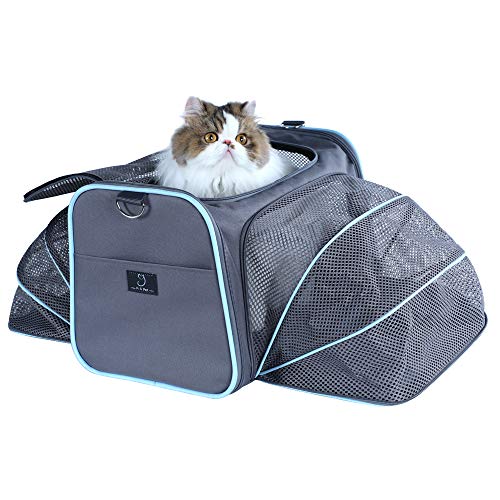 A4Pet Collapsible Cat Carrier Soft Side Cat Carrier Pet Transport Carrier for Medium and Large Cat/Small Dog up to 13 Pounds?17.5L x 11W x 11.5H 