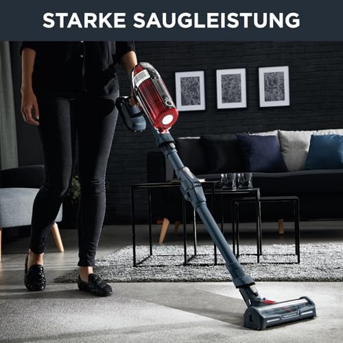 Rowenta Akku-Staubsauger X-Force 11.60 Animal Care