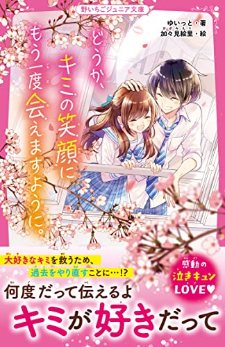 どうか、キミの笑顔にもう一度会えますように。 (野いちごジュニア文庫)