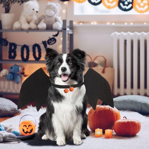 Fledermausflügel Hund,Halloween Fledermaus Hundekostüm,Hund Fledermausflügel mit Kürbisglocke,Einstellbar Hunds Fledermaus Flügel,Cosplay Dekoration Halloween Haustier Kostüm L
