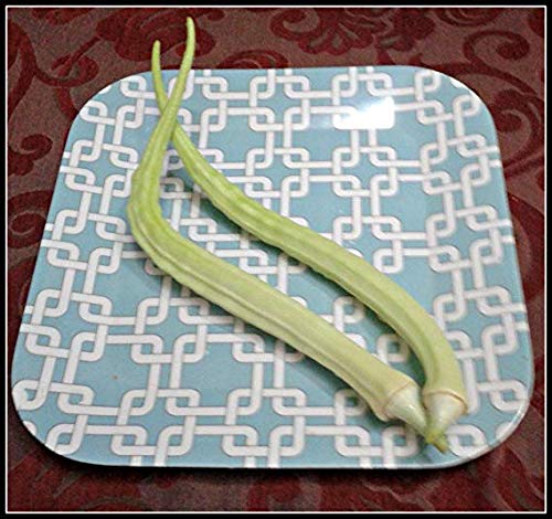 Creative Farmer Vegetable Seeds Aanakomban Venda (Elephant Tusk Okra) Seeds - Elephent Tusk Okra Seeds All Season Seeds For Kitchen Garden Home Garden Seeds (B07N482K9W) Amazon Price History, Amazon Price Tracker