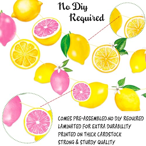 Lemon Pink Citrus Happy Birthday Banner Set Summer Fruit Garland with Gold Glitter Birthday Letters, Lemon Theme Decor for Girl Birthday, Lemonade Party, Summer Tropical Celebrations by C L cooper life - Used condition - Image 3