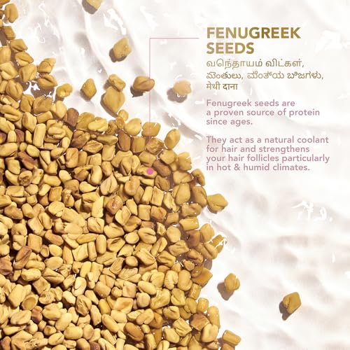 Image of Clinic Plus Strength & Smooth Shampoo, Fenugreek Protein + Hibiscus for Hair Strengthening and Smoother Hair, 175 ml