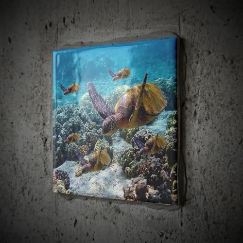 6 Inch Ceramic Tile - Sea Turtles Ocean Life by 3dRose - Used condition - Image 2