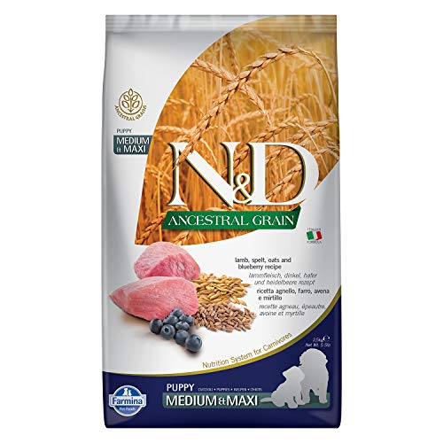 Farmina N&D Lamb & Blueberry Low-Grain Medium and Maxi Breed Puppy Food 5.5 Pounds