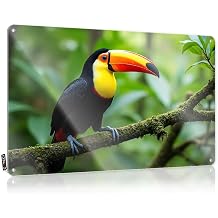 MZBS Decorations Gift For Her Unique A Colorful Toucan Perches On A Moss-covered Branch In A Lush, Green Forest For Basement - Statue Customizable20X30CM