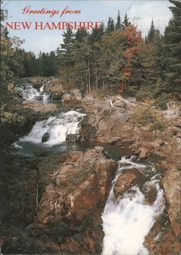 Greetings from New Hampshire Waterfalls and Autumn Trees Original Vintage Postcard