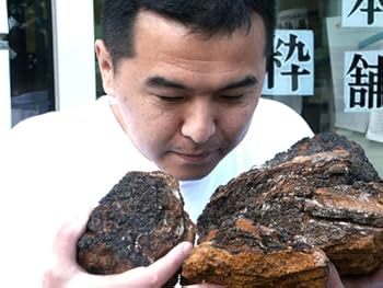 カバノアナタケ　必要な重さお知らせください。 カバノアナタケ 必要な重さお知らせください。