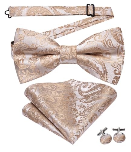 Image of Dubulle Mens Paisley Striped Bowtie Set Pre-tied Bowtie for Men and Pocket Square Set Wedding Business