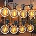 Lichterkette Außen, 45,7M Outdoor Lichterkette Glühbirnen, 24V LED Lichterkette Außen Strom für Weihnachtsdeko, Party, Garten, Terrasse, Hochzeiten,Zimmer 24 Outdoor günstig Kaufen-Lichterkette Außen, 45,7M Outdoor Lichterkette Glühbirnen, 24V LED Lichterkette Außen Strom für Weihnachtsdeko, Party, Garten, Terrasse, Hochzeiten,Zimmer
