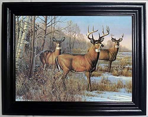 Those Flipping Pictures 4 Deer 3D Framed Wall Art-Lenticular Technology Causes The Artwork to Have Depth and Move-Hologram Style Images-Holographic Optical Illusions