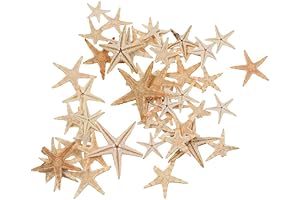50Pcs Natural Starfish Star Seashell Beach Craft Decoration